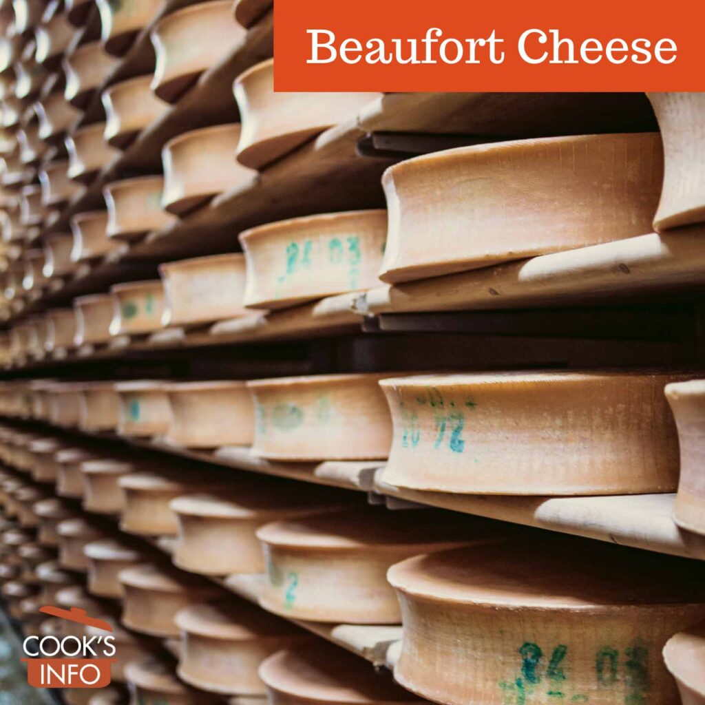 Beaufort cheese maturing on shelves