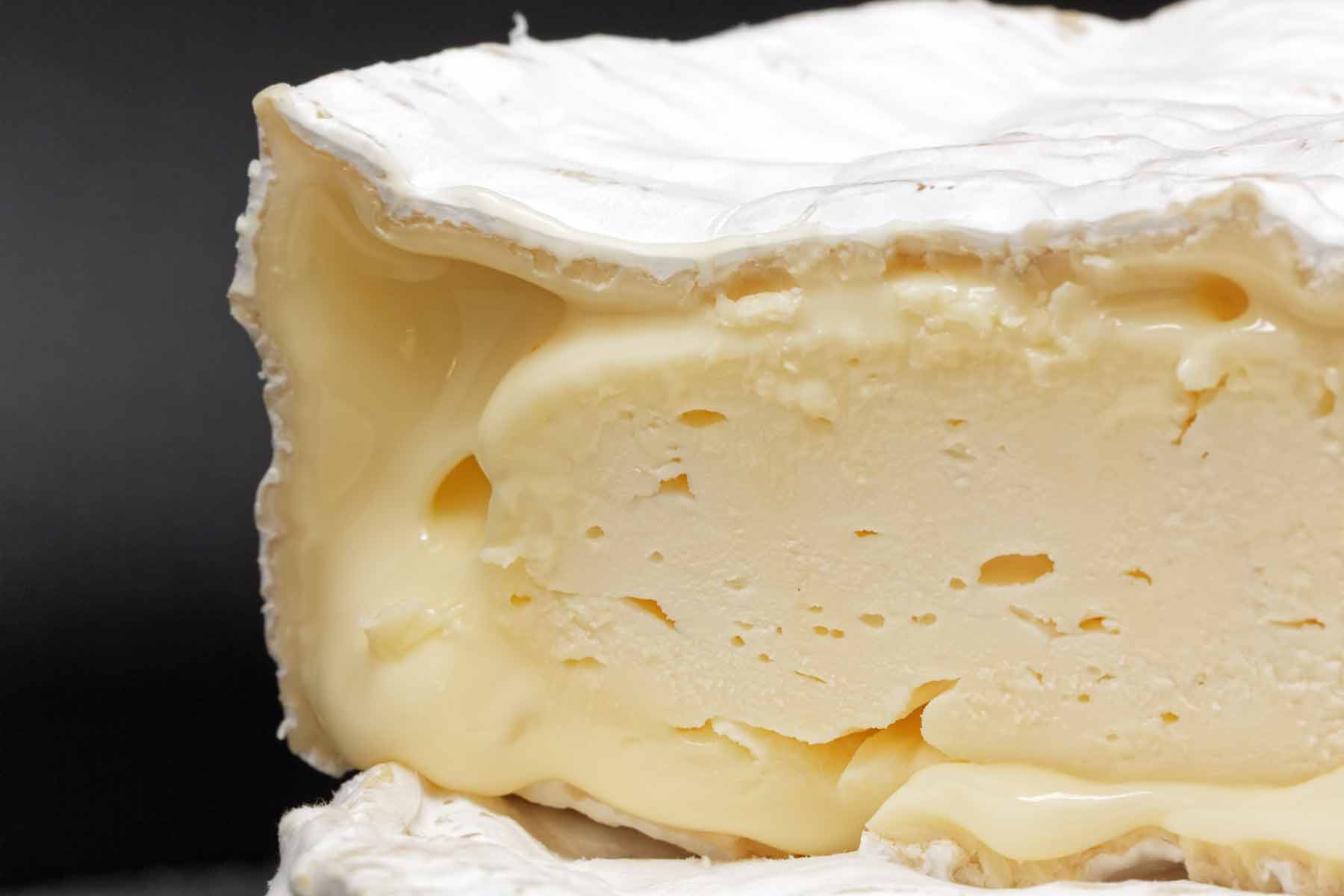 Brie de Coulommiers closeup