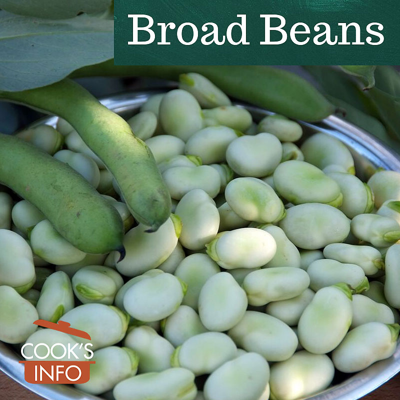 Broad beans