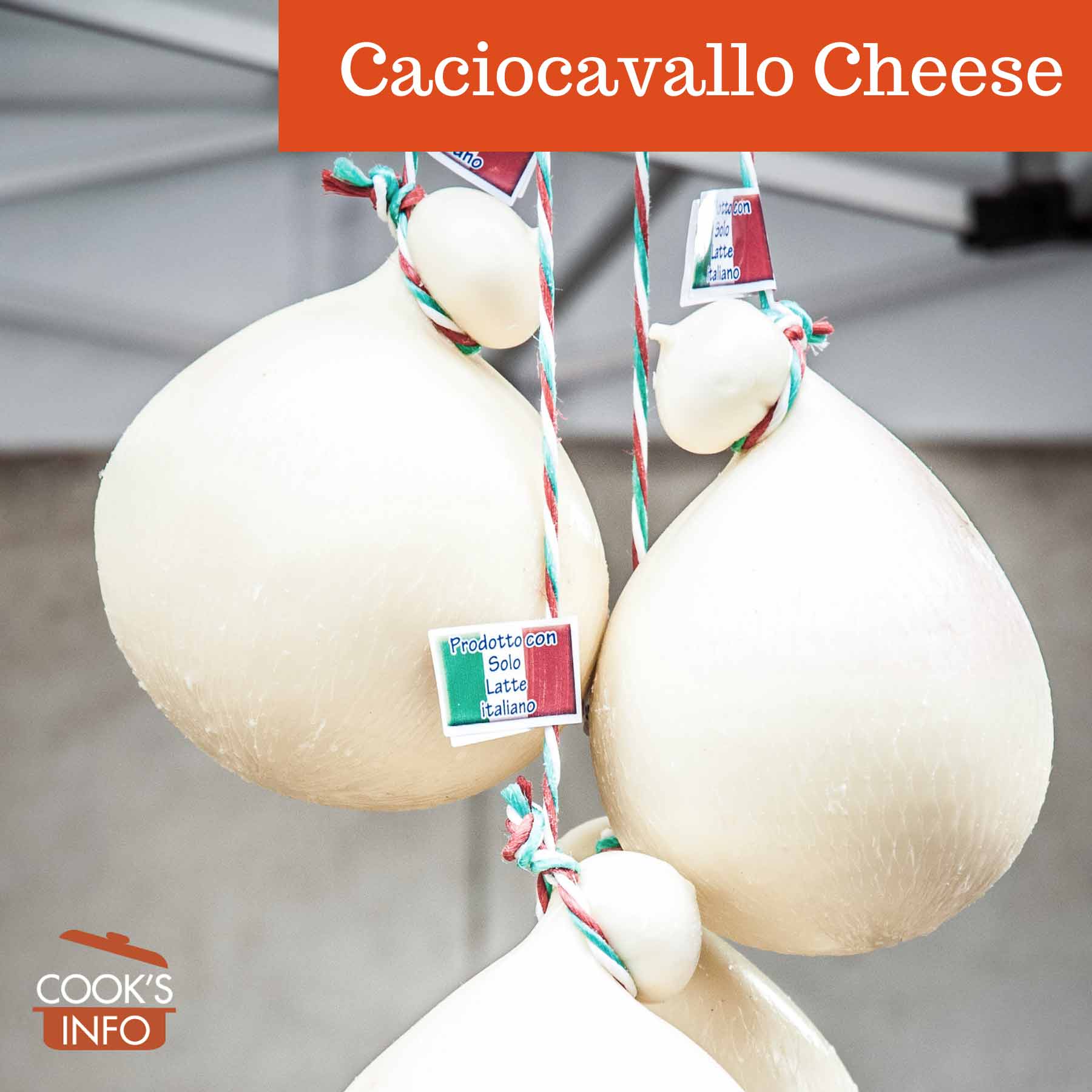 Caciocavallo cheese hanging in a store