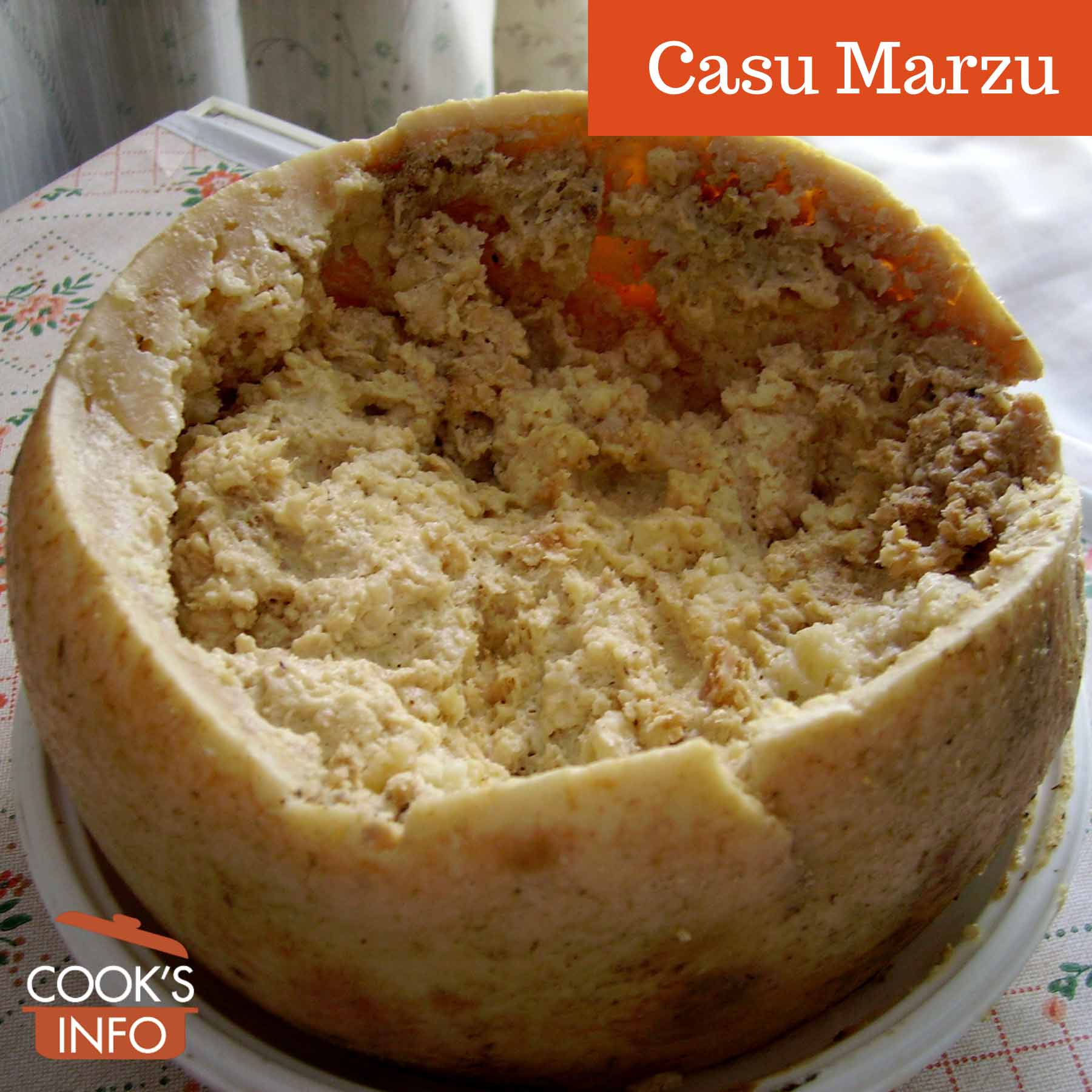 Casu Marzu