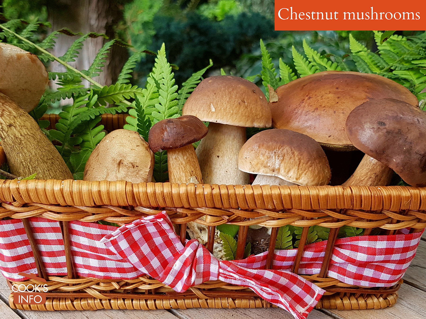 Chestnut mushrooms