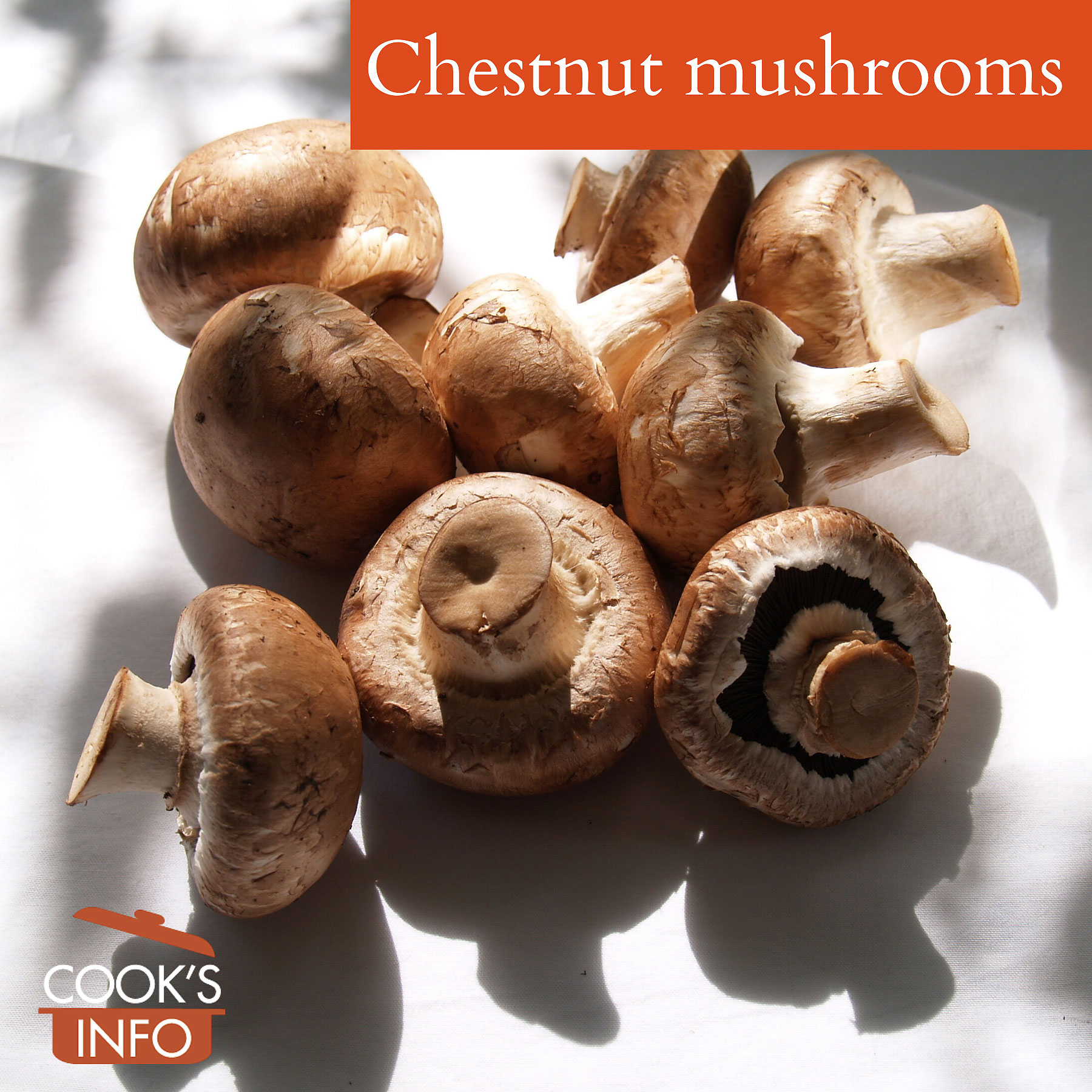 Chestnut mushrooms