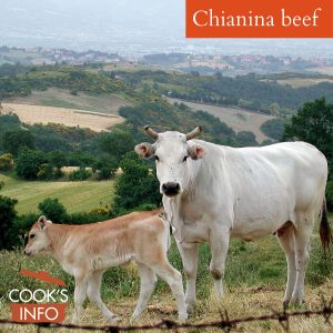 Chianina cow and her calf, Tuscany