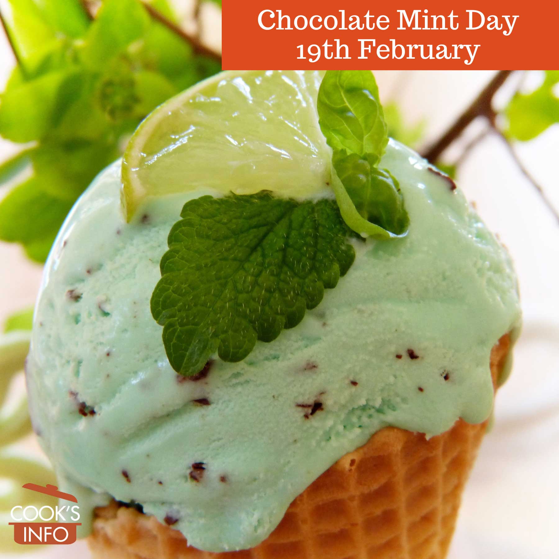 Chocolate mint ice cream