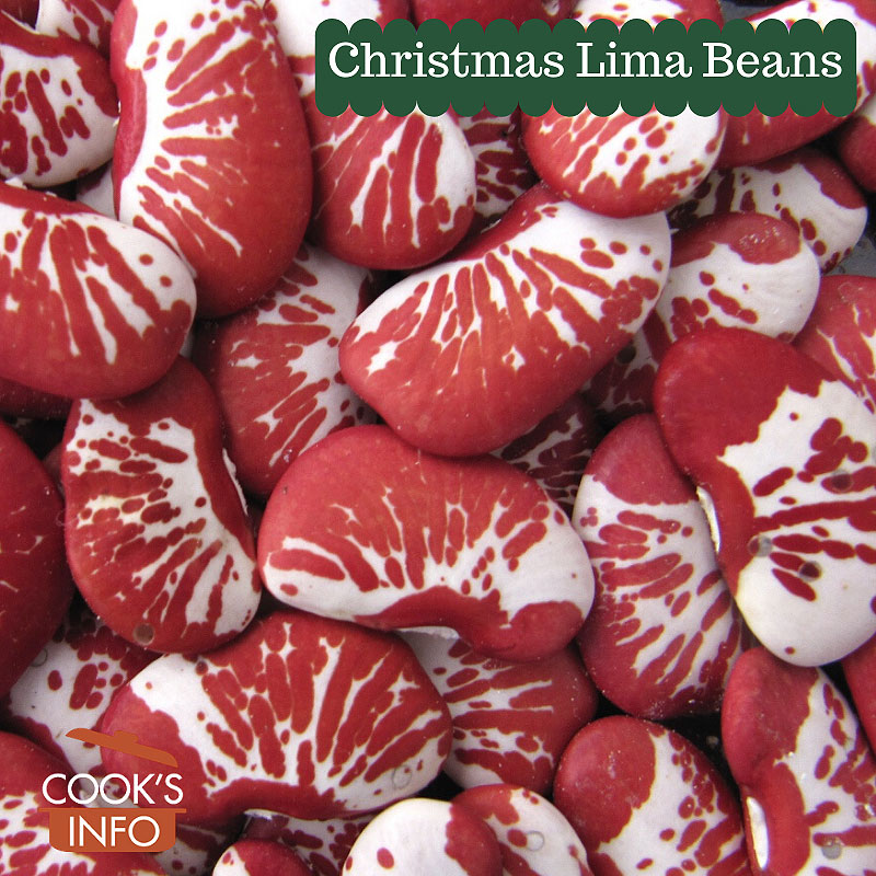Christmas Lima Beans