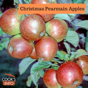 Christmas Pearmain Apples