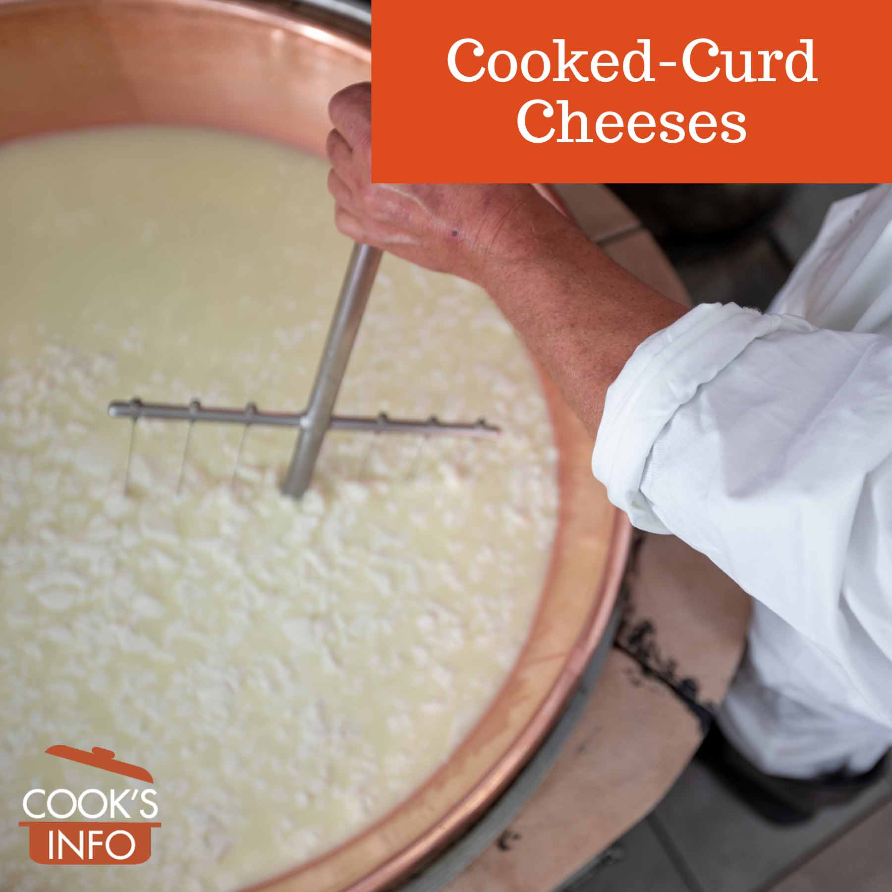 Cooking & cutting cheese curd