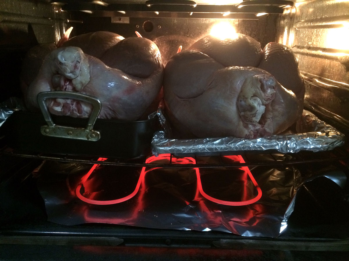 Roasting turkeys