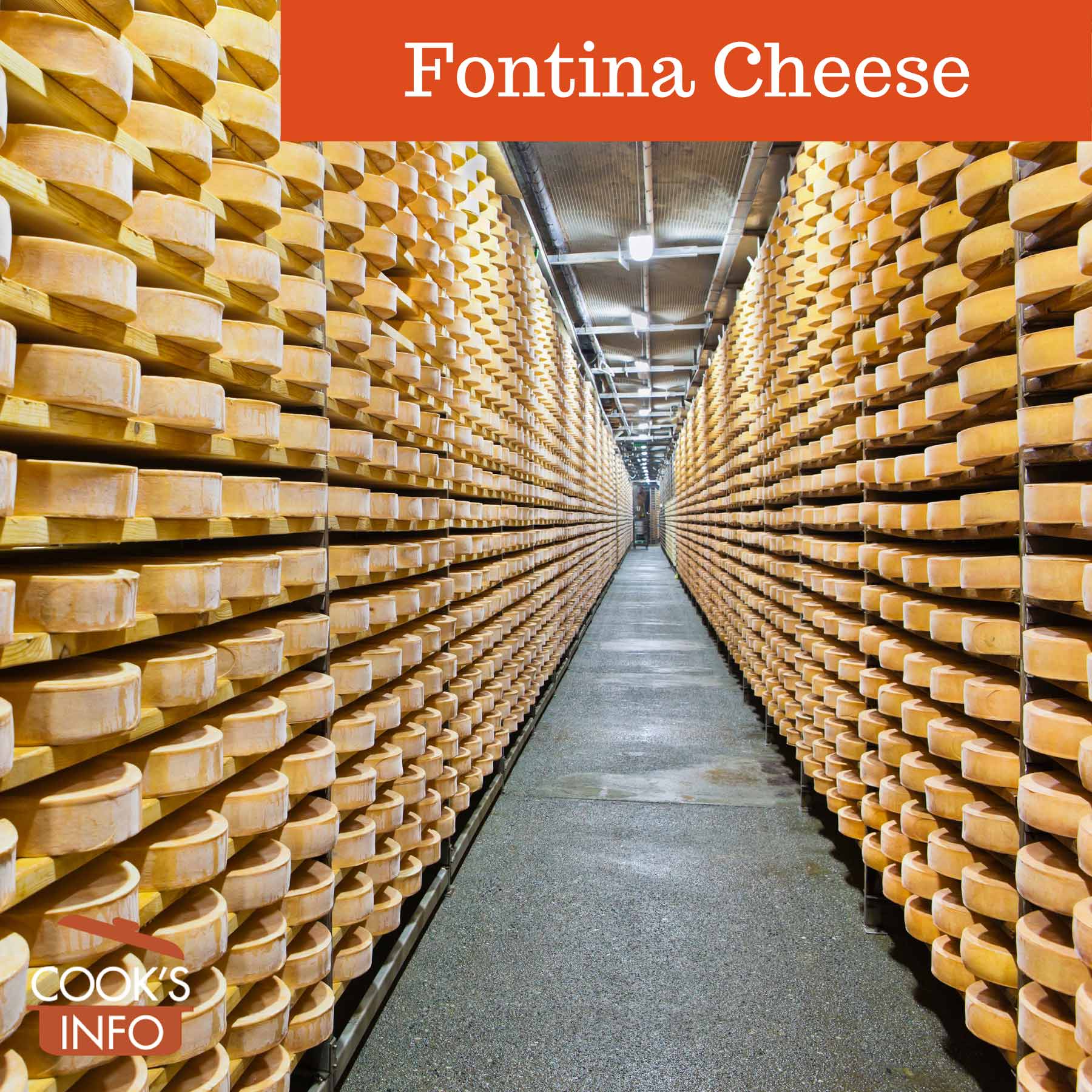 Fontina Cheese aging on pine shelves