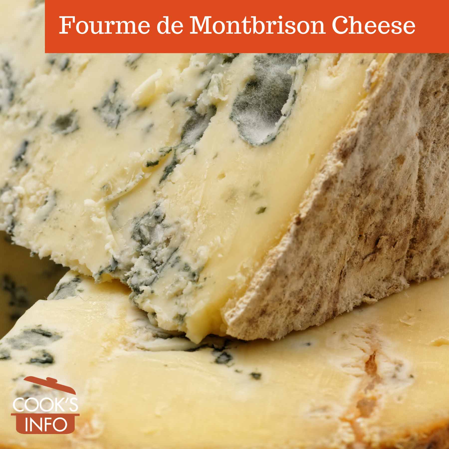 Fourme de Montbrison Cheese