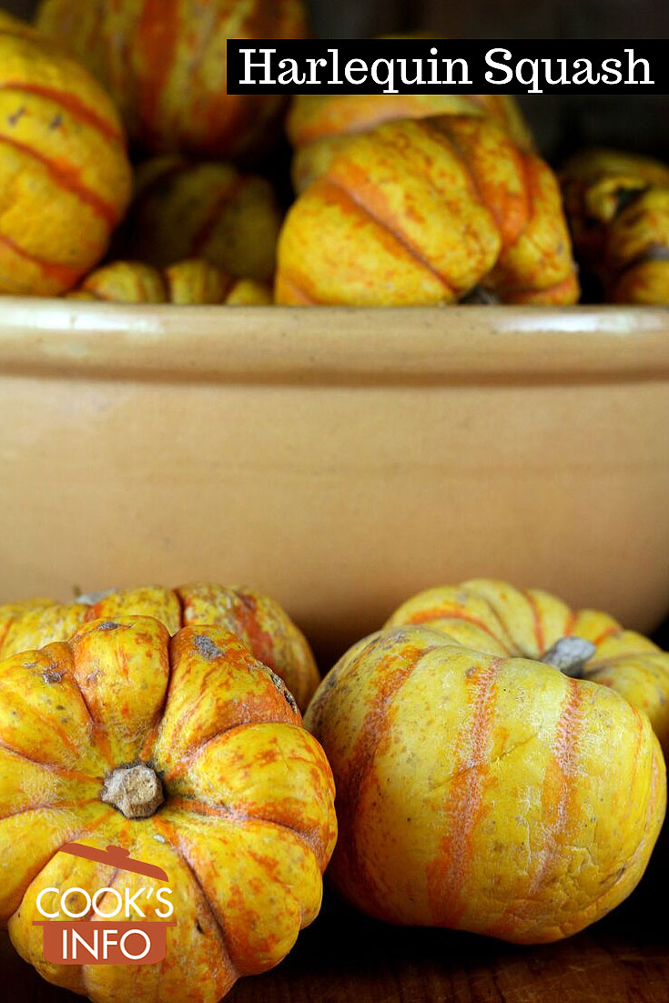 Harlequin Squash