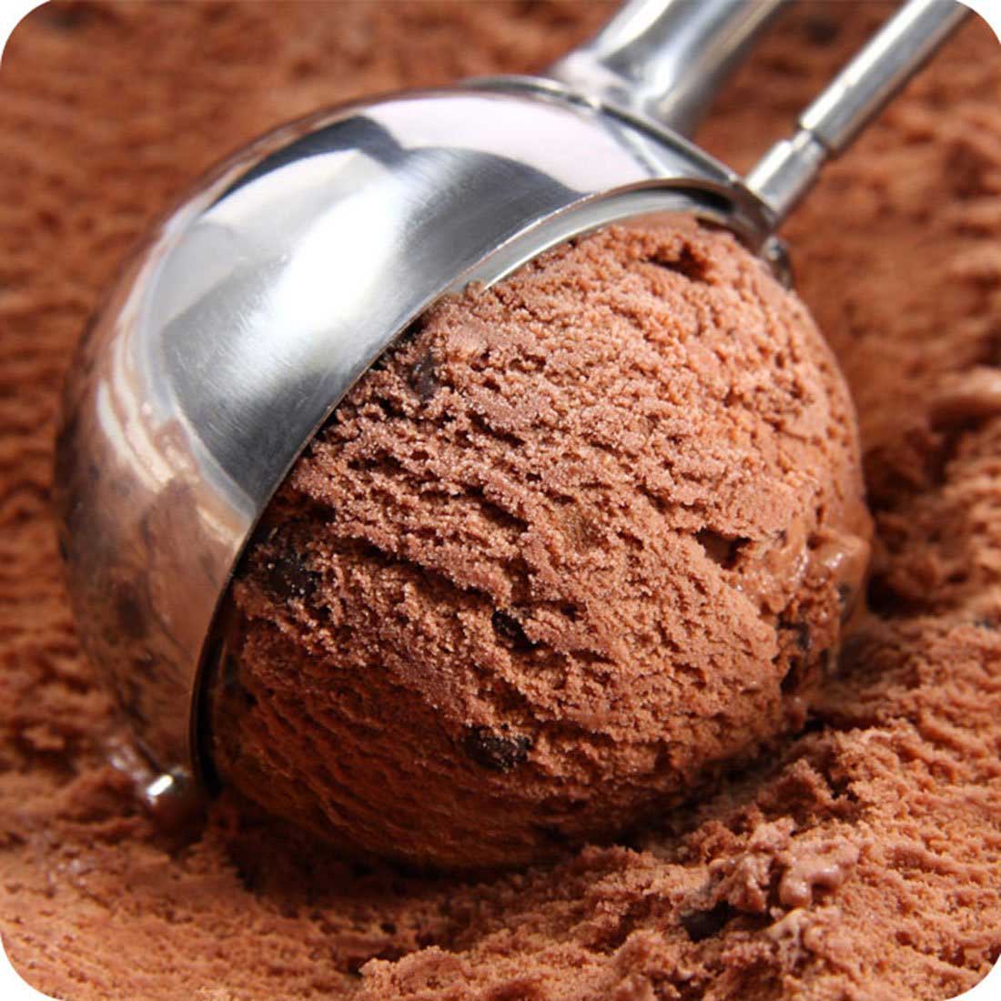 Fake Chocolate Ice Cream Scoop