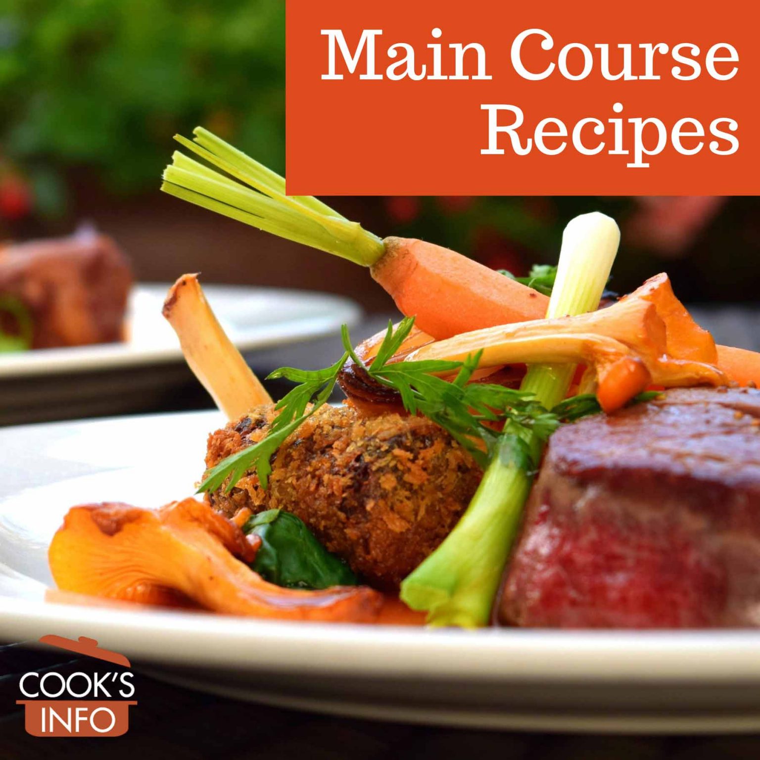 Main Course Recipes - CooksInfo