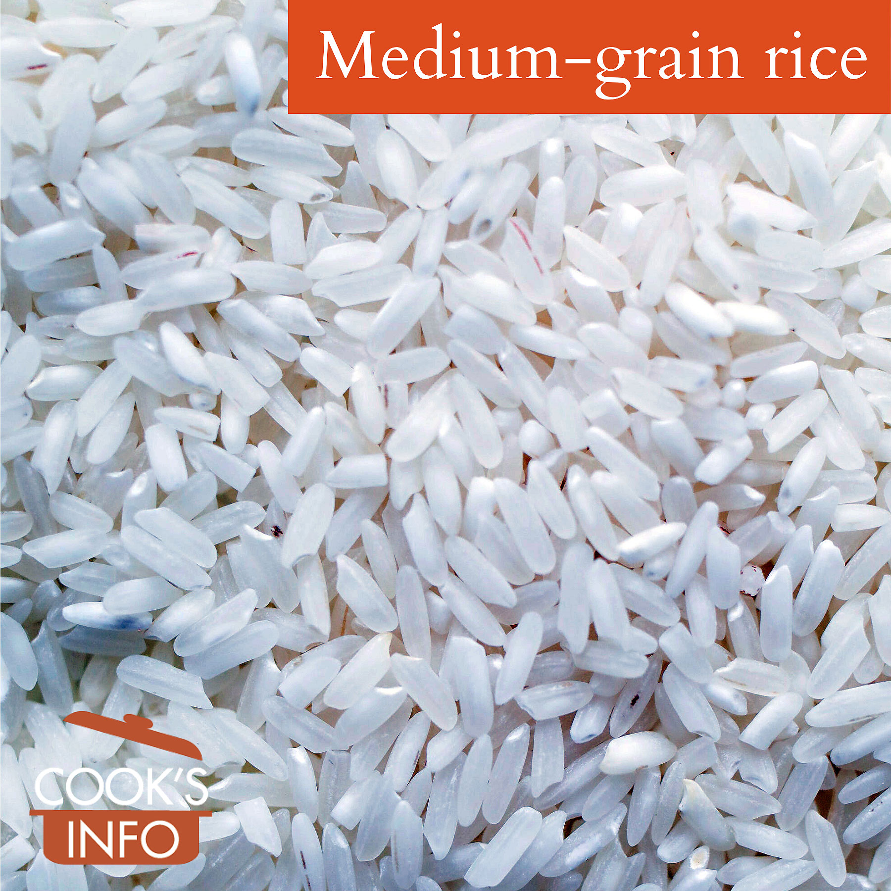 Medium-grain rice