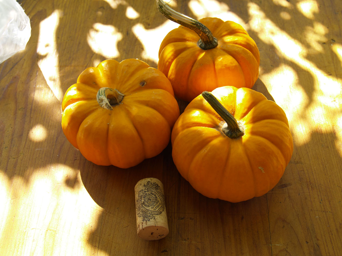 Miniature pumpkins