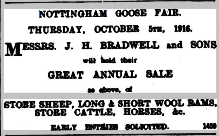 Nottingham Goose Fair 1916
