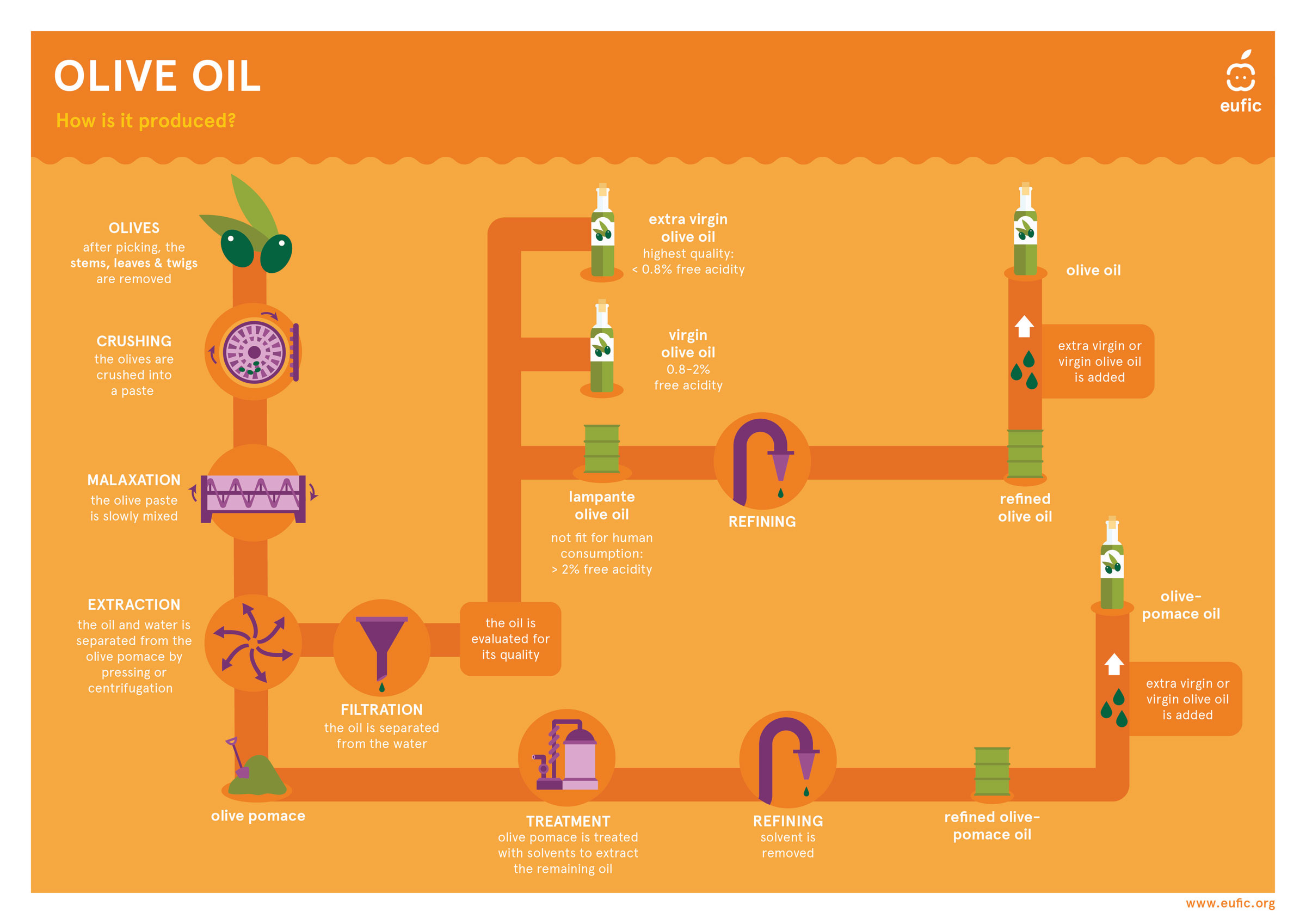 Olive oil production flow chart