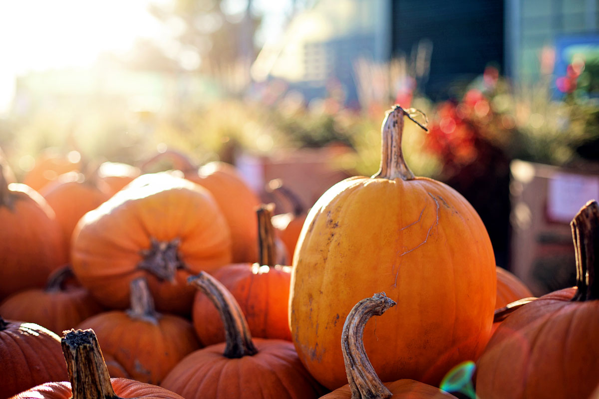 Pumpkins