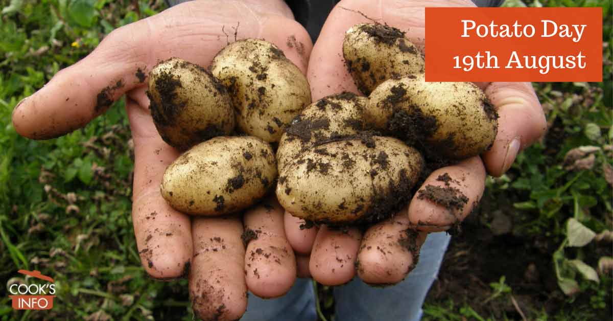 Potato Day CooksInfo