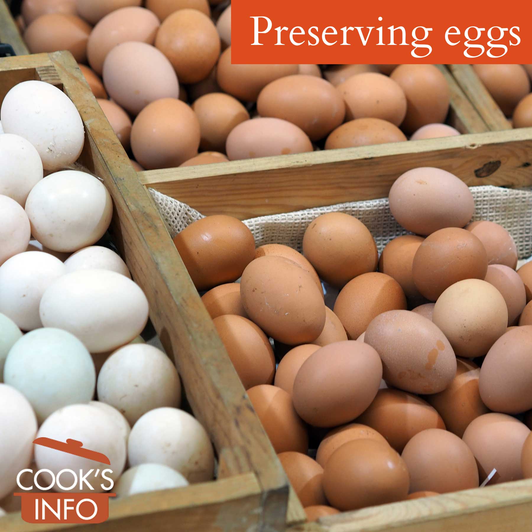 Preserving Eggs CooksInfo