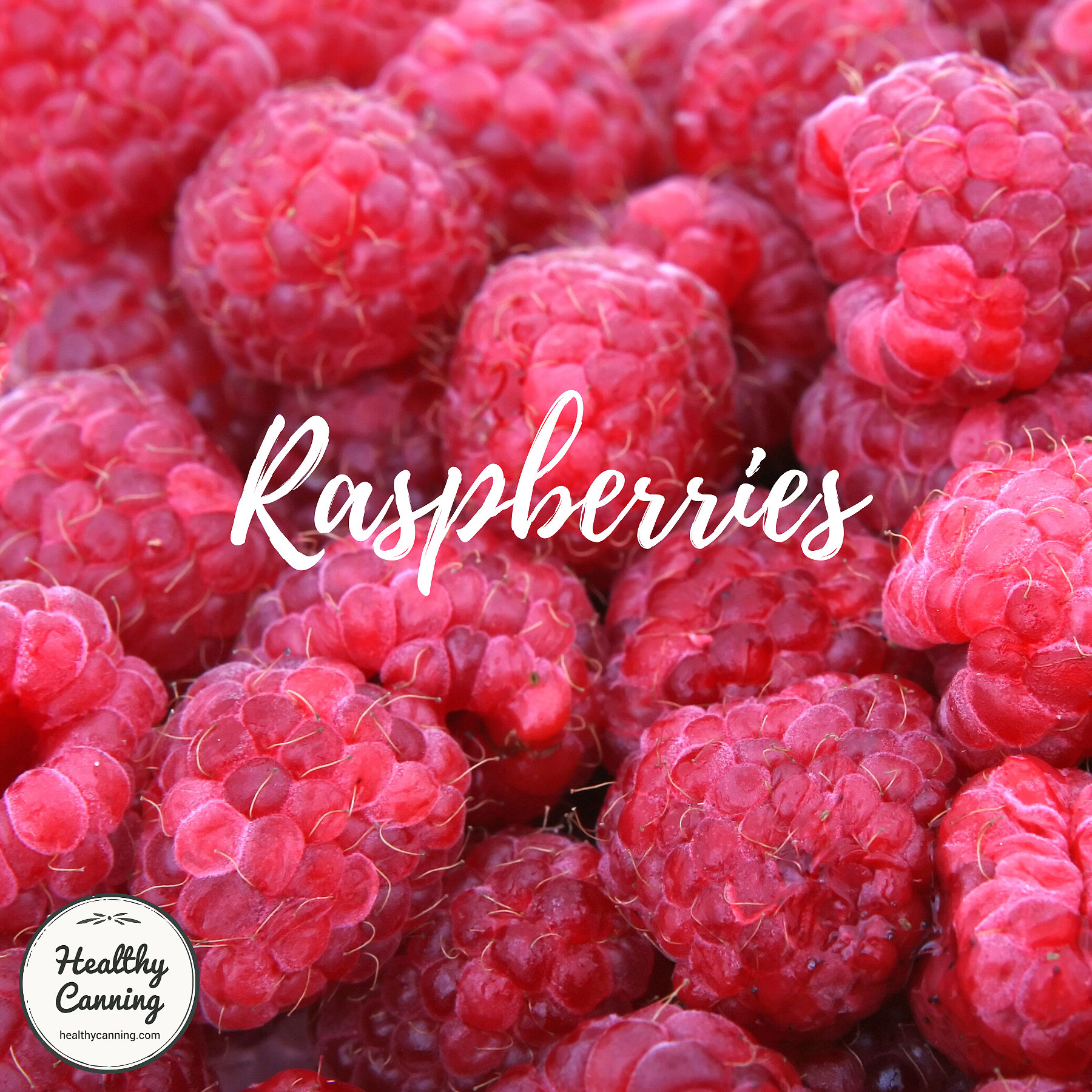 Raspberries close-up