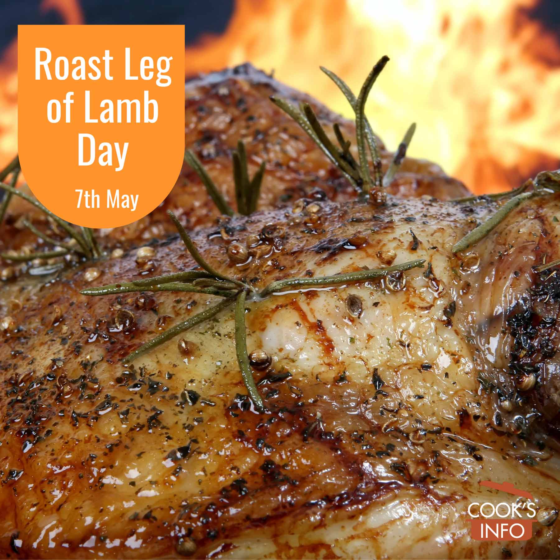 Roast Leg of Lamb Day CooksInfo