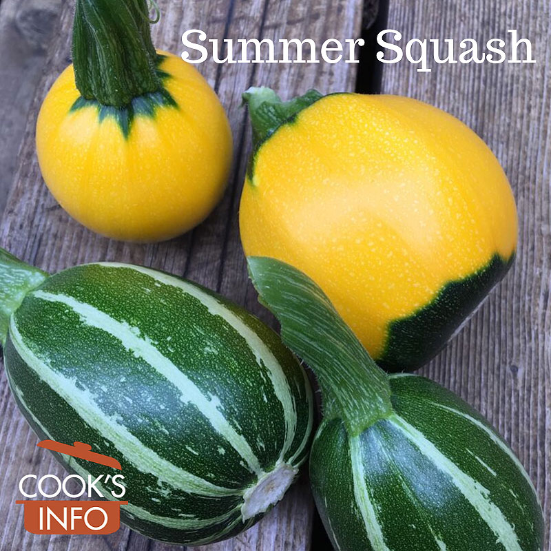 Summer squash