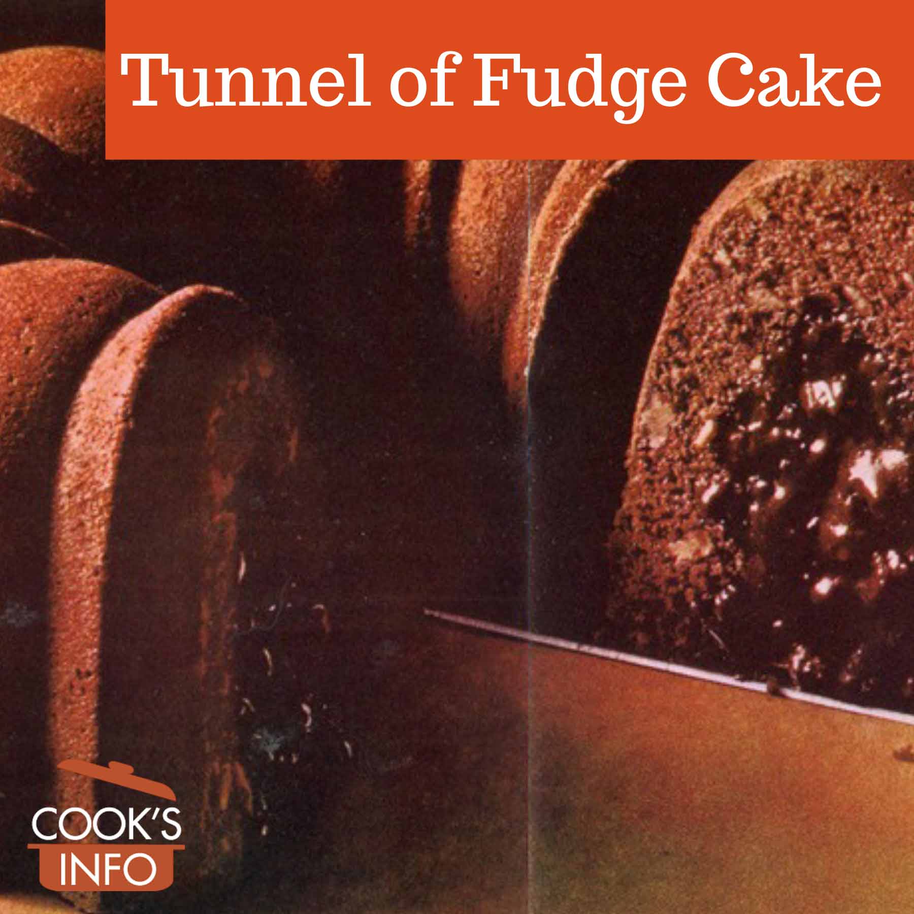 https://www.cooksinfo.com/wp-content/uploads/Tunnel-of-Fudge-Cake-TN.jpg