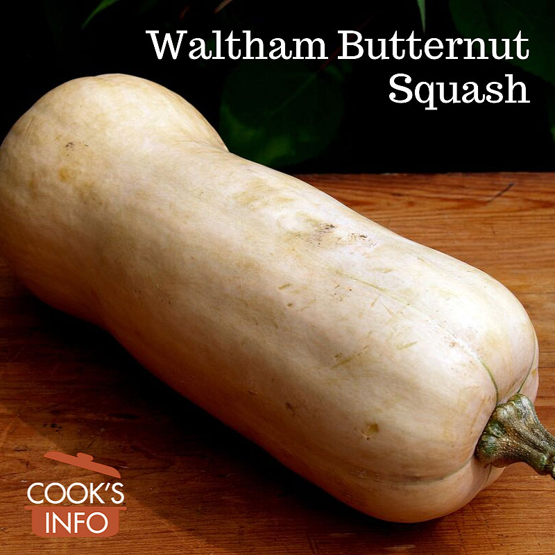 Waltham Butternut Squash