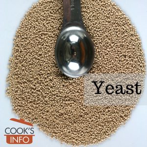 Yeast