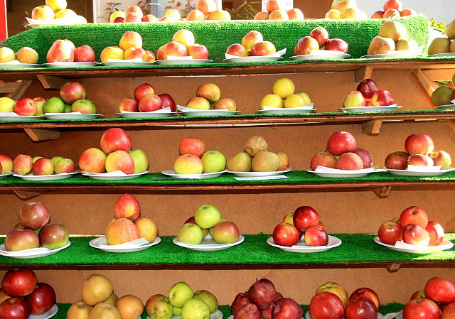 apple day display