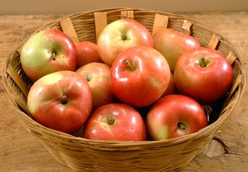 McIntosh Apples