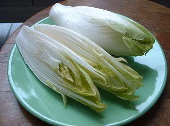 Belgian Endive