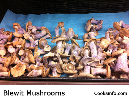 Blewit Mushrooms