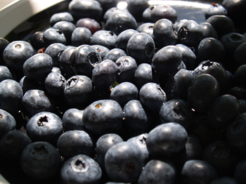 Blueberries Blueberries