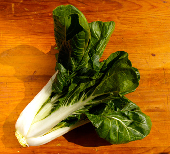 Bok Choy