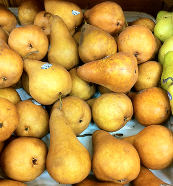 Bosc Pears (how to tell when they're ripe, and how to cook them