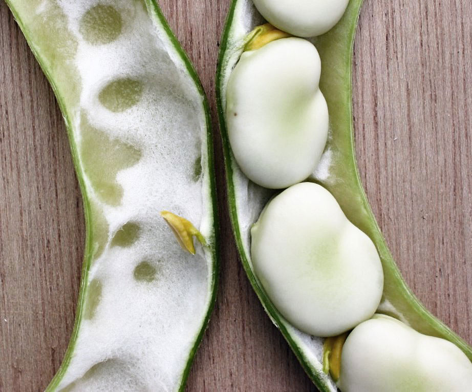 Broad beans in a pod