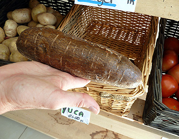 Cassava