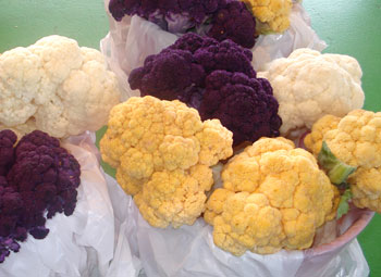 Cauliflower Varieties