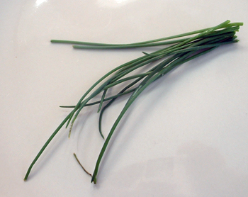 Chives