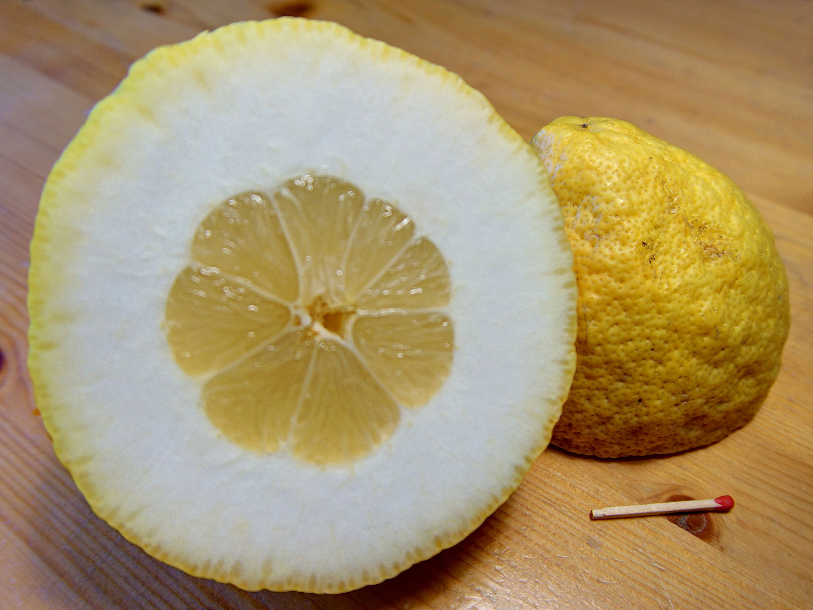 Citron cross-section