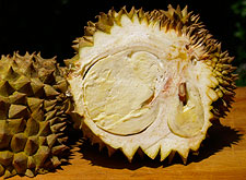 Durian Fruit Interior