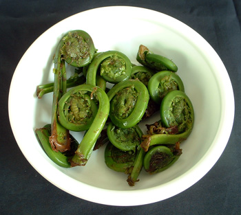 Fiddleheads