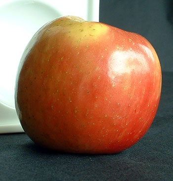 McIntosh Apples - CooksInfo