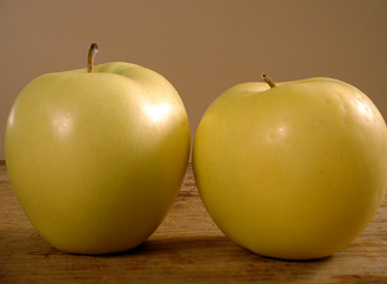 Golden Delicious Apples