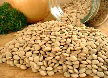 Brown Lentils Brown Lentils
