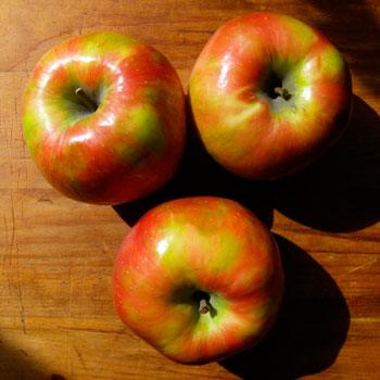 Honey Crisp Apples