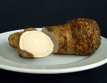 Horseradish Root